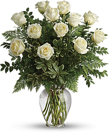 Rosas blancas