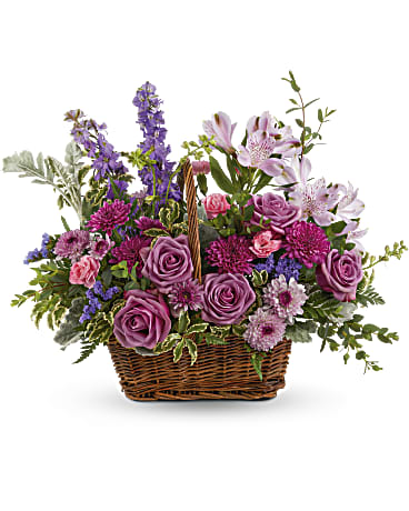 Prado de Lavanda