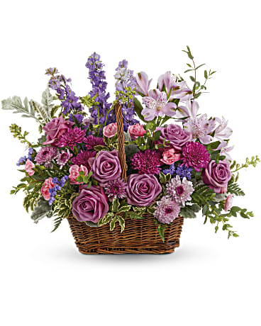 Prado de Lavanda